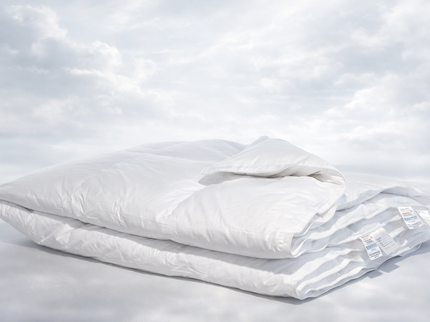 Silver | 1A 100% Duitse Eendendons